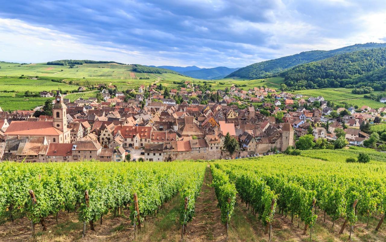 Le 19 Kleber Climatise Colmar Exterior foto